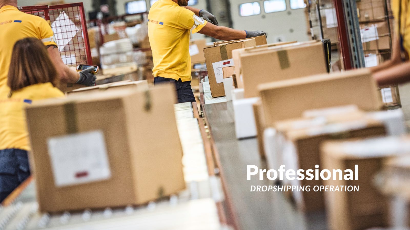 Successful dropshipper in professional fulfillment environment